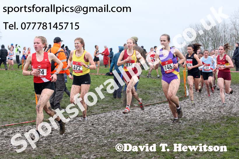 Senior girls 2019 New Balance English Schools Cross Country Champs, Temple Newsam, Leeds. Photo:  David T. Hewitson/Sports for All Pics